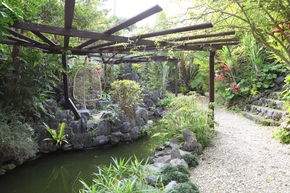 沖縄らしい南国の植物