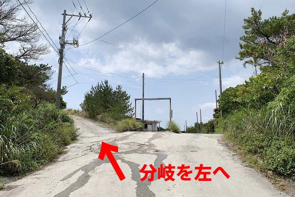 分岐が現れる
