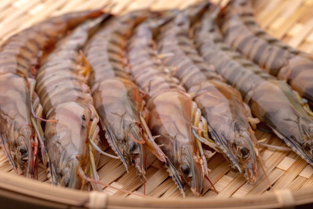 沖縄で人気の食べ物 車えび