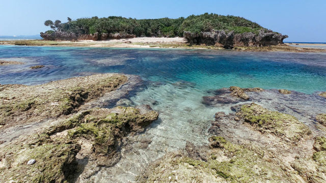 沖縄で磯遊びするならここ！干潮を狙って熱帯魚をつかまえちゃお！