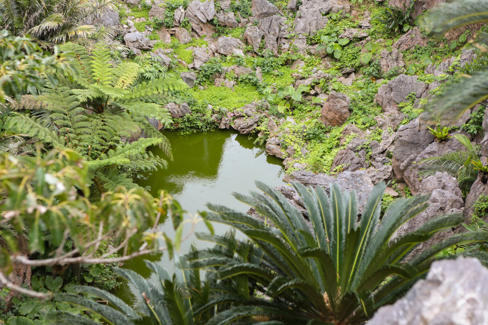 大石林山の鍋池