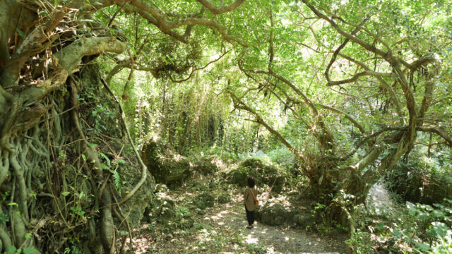 沖縄でトレッキングするなら多々名城跡！秘境の海岸にも出られるよ