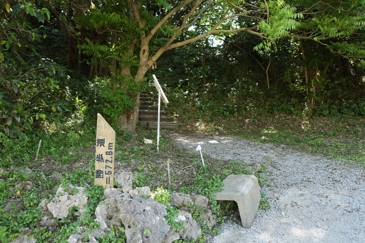 沖縄の遊歩道を探索