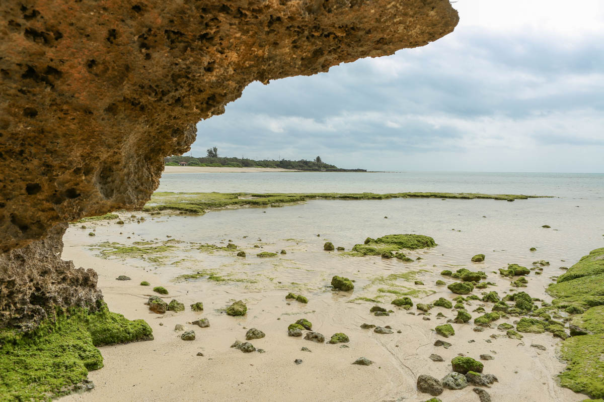 大きな琉球石灰岩から海を覗く
