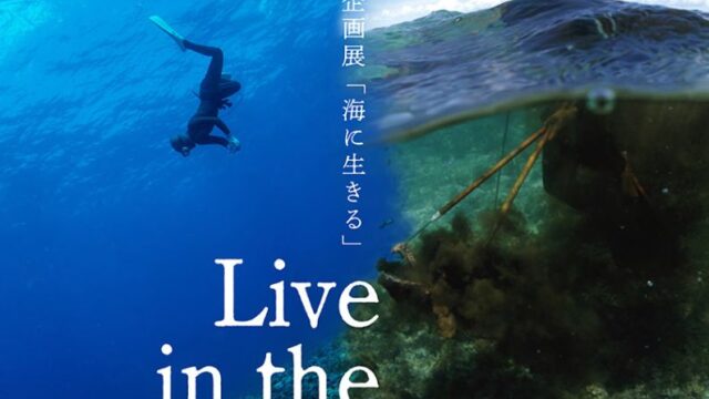 ザ・ムーンビーチ　ミュージアムリゾートにて 古谷千佳子写真企画展「Live in the sea 海に生きる」を開催